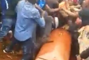 Толпа разъяренных мужчин устроила драку на похоронах