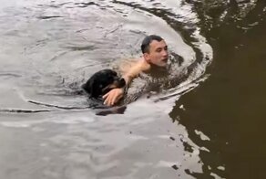 Бравый пес спас «тонущего» в реке хозяина