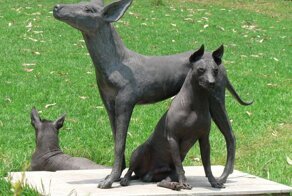 Ксолоитцкуинтли: Ацтекская селекция привела к появлению собак, что неотличимы от статуй