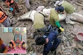 В Малайзии поймали крокодила-людоеда, который убил подростка