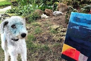Собака нашла свежую картину и решила приобщиться к искусству