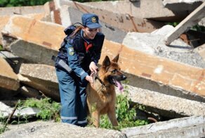 Отряды из «Центроспаса» МЧС начали вскрытие щелей в завалах порта Бейрута