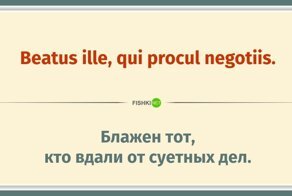 15 пословиц на латыни, которым уже более 2000 лет