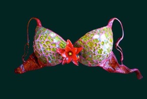 Необычные бюстгальтеры (11 фото)