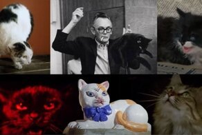 Тринадцать кошек Леонида Гайдая - мистических и бытовых