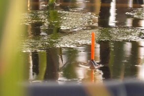 Мои лучшие фото с рыбалки! ТОП 10