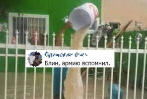 Жгут не по-детски: убойные комментарии от пользователей соцсетей