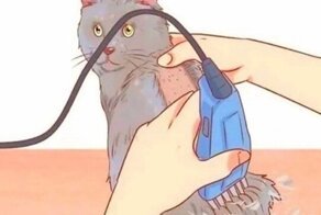 Минутка специфического юмора. Не для всех