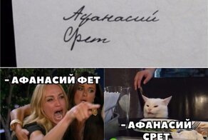 Смешные мемы с котом, которые поднимут вам настроение