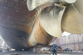 15 поразительных сравнений предметов и животных в реальной жизни