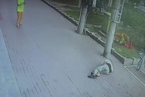 Пенсионер лишился чувств ощутив на себе внезапный удар кошкой: видео