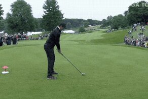 Гифки о гольфе