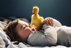 С добрым утром!