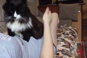 Когда кот любит хозяина больше хозяйки