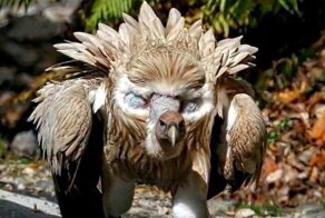 Фото, глядя на которые хочется сказать: «Да ладно!» и смотреть дальше, потому что ну очень интересно 