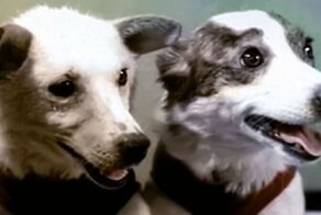 60 лет полету Белки и Стрелки в космос