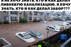 Весёлые картинки