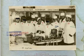 Совершенно Секретно - Советский биоробот  (8 фото)
