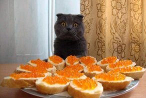 Фотоподборка