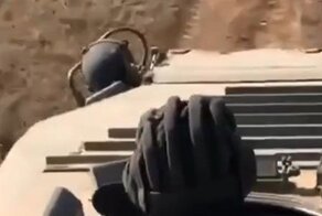 Сафари по-русски: погоня за зайцем на боевой машине