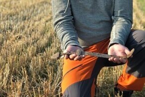 Норвежец нашел в поле меч викингов