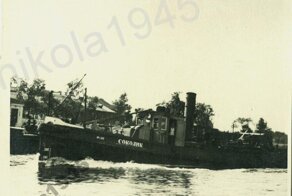 В тени крейсера Аврора