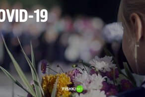 1 сентября в России. Как изменится процесс обучения в стране