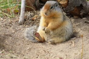 Фотоподборка