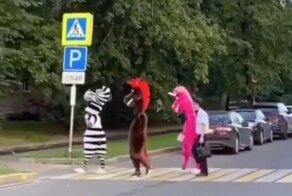 В Москве задержали вымогателей в костюмах сказочных персонажей