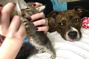 Фотоподборка