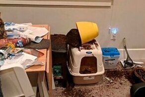 15 зловредных ситуаций, которые могли произойти только утром