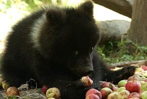 Фотоподборка