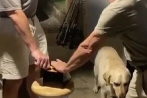 Гаражные эксперименты с электричеством