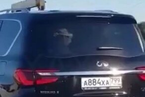 Теща в багажнике или поездка с семьей на дачу