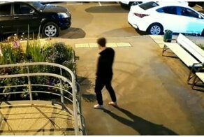 Внезапная ночная кража гладиолуса в московском дворе