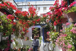 Фестиваль цветов в Кордове (27 фото)