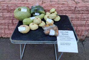 Пенсионер из Красноярска устроил «онлайн-магазин» прямо на улице