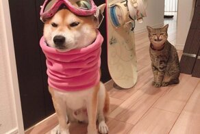 Фотоподборка