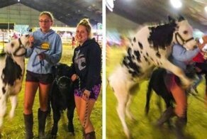 15 забавных фото, сделанных в нужное время и в нужном месте 