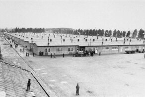Форт Бреендонк