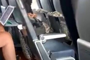 Странная пассажирка с камнями в самолете
