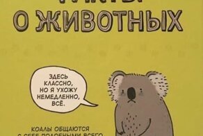 Интересные факты о животных