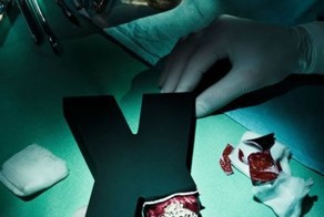 Анатомия букв (25 фото)