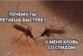 Экспериментальный юмор в формате "Каламбур", который сначала запутает, а потом рассмешит