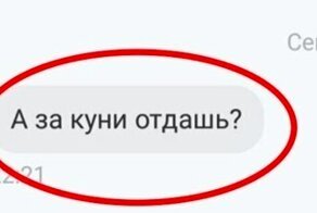 "Отдай бесплатно или за интим, тварь!": убойнейшие чаты с покупателями