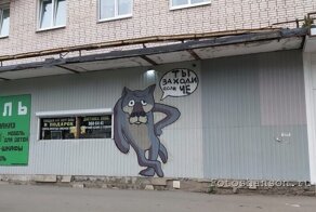 Бродя по Санкт-Петербургу