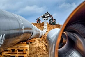 Немецкие политики юлят и перекручивают факты: история с Навальным развивается по политической кривой