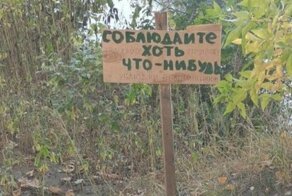 Настоящий крик души