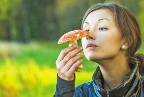 Как мухомор получил свое название и убивает ли он мух на самом деле?