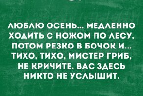 Выкручивать или срезать? Миколог объяснил, как правильно собирать грибы